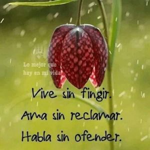 Meet your Posher, Maria